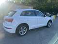 Audi Q5 40 2.0 tdi Business Sport quattro 190cv s-tronic Bianco - thumbnail 3