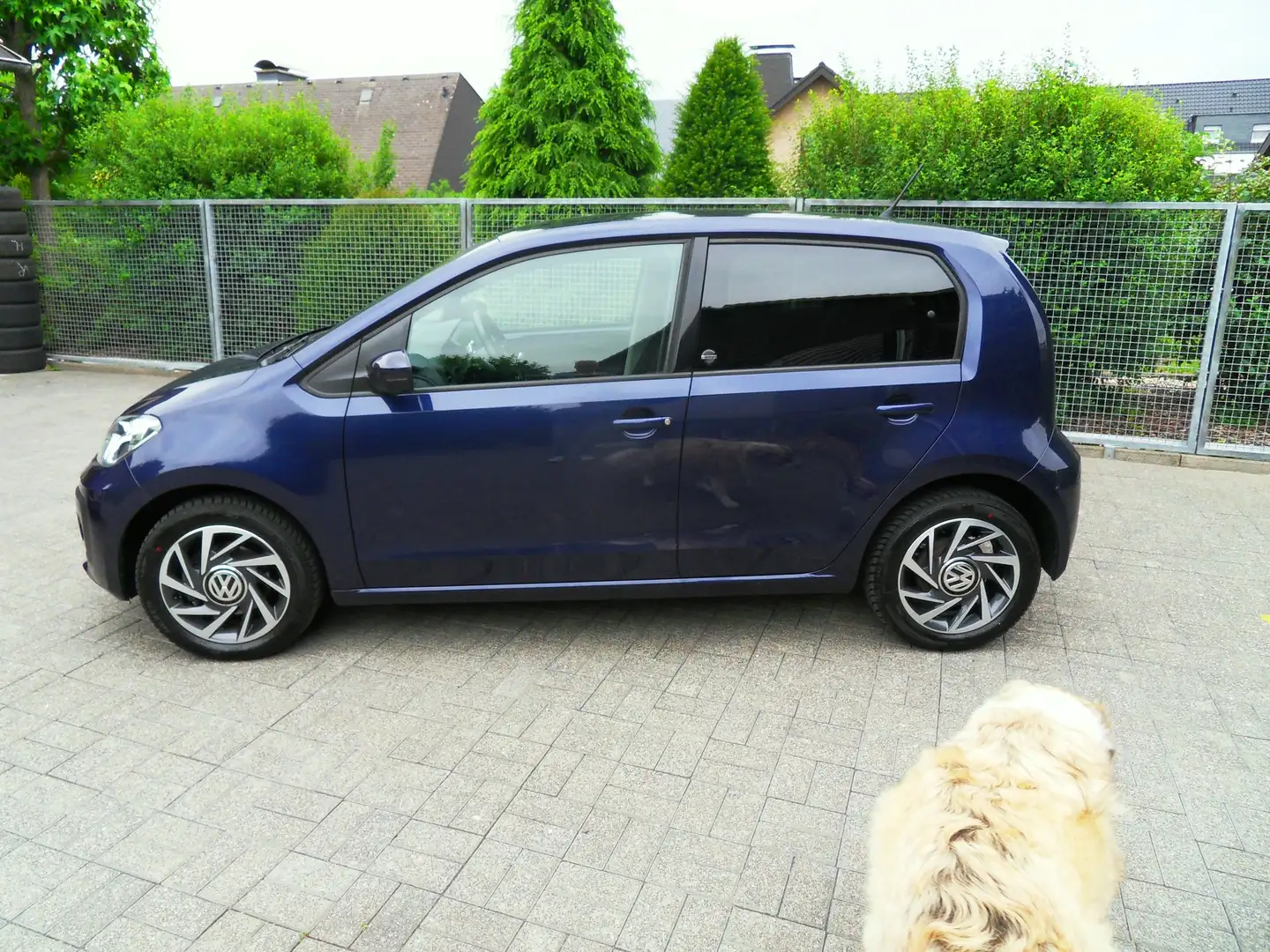Volkswagen up! Sound - Navi-Sitzh.-Tempomat-Alu-Klima-Allwetter Blauw - 2