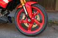BMW G 310 R Style Passion *Oil inclusive (5/50)* Rouge - thumbnail 12