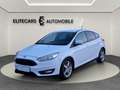 Ford Focus 1,0 EcoBoost TITANIUM / SITZHEIZUNG / RÜCKFAHRKAM Weiß - thumbnail 8