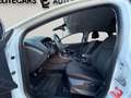 Ford Focus 1,0 EcoBoost TITANIUM / SITZHEIZUNG / RÜCKFAHRKAM Weiß - thumbnail 13