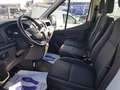 Ford Transit 350 2.0 TDCI 170CV TREND L5 RWD RUOTE GEMELLATE Bianco - thumbnail 9