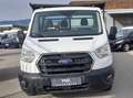 Ford Transit 350 2.0 TDCI 170CV TREND L5 RWD RUOTE GEMELLATE Bianco - thumbnail 4
