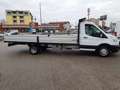 Ford Transit 350 2.0 TDCI 170CV TREND L5 RWD RUOTE GEMELLATE Bianco - thumbnail 2