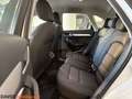 Audi Q3 Q3 2.0 TDI 150 CV quattro S tronic Business + Bianco - thumbnail 7