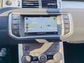 Land Rover Range Rover Evoque Range Rover Evoque 5p 2.0 td4 SE Dynamic 150cv aut Grigio - thumbnail 14