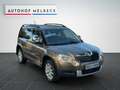 Skoda Yeti Ambition Plus Edition *1.HAND*S-HEFT*KLIMA* Brun - thumbnail 3