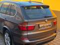 BMW X5 xDrive30d 7 Sitze E70 LCI Facelift / Leder / Navi Bronze - thumbnail 50