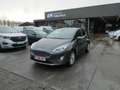 Ford Fiesta 1.0 i ecoboost 100pk Titanium Luxe 5d '21 (58541) Gris - thumbnail 1