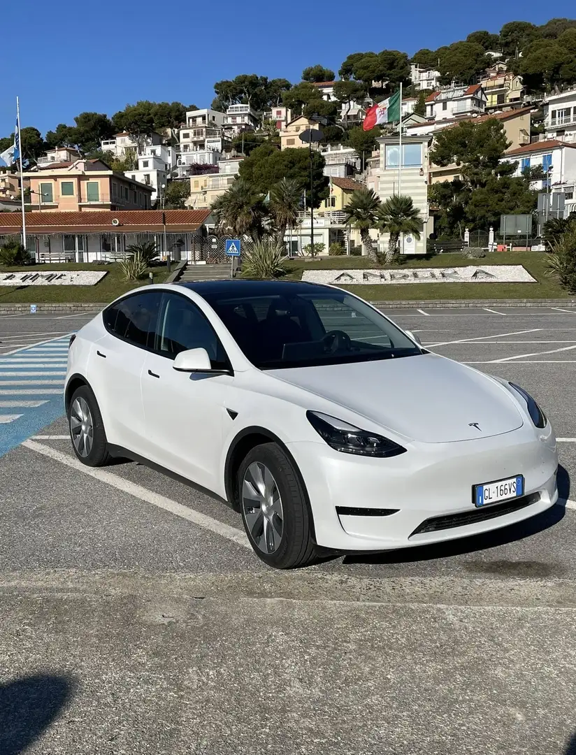 Tesla Model Y Single Motor rwd IVA ESPOSTA 100% - 1