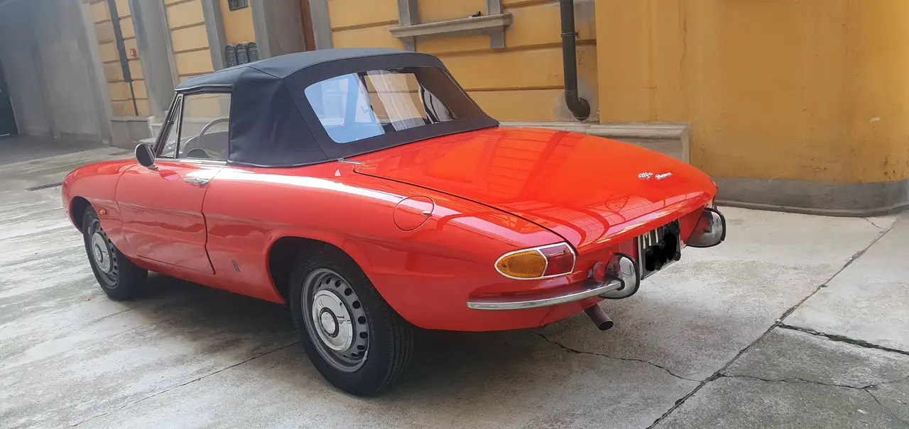 Alfa Romeo Spider 1.6 Duetto " osso seppia" 1° serie pedaliera bassa, foto 6