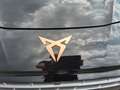 CUPRA Terramar 1.5 eTSI DSG *Matrix*Pano*AHK*Head-Up* Negro - thumbnail 4