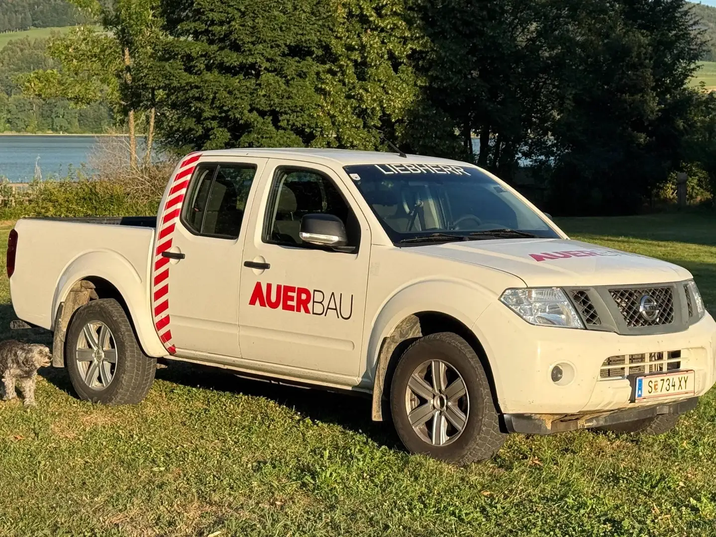 Nissan Navara - 1