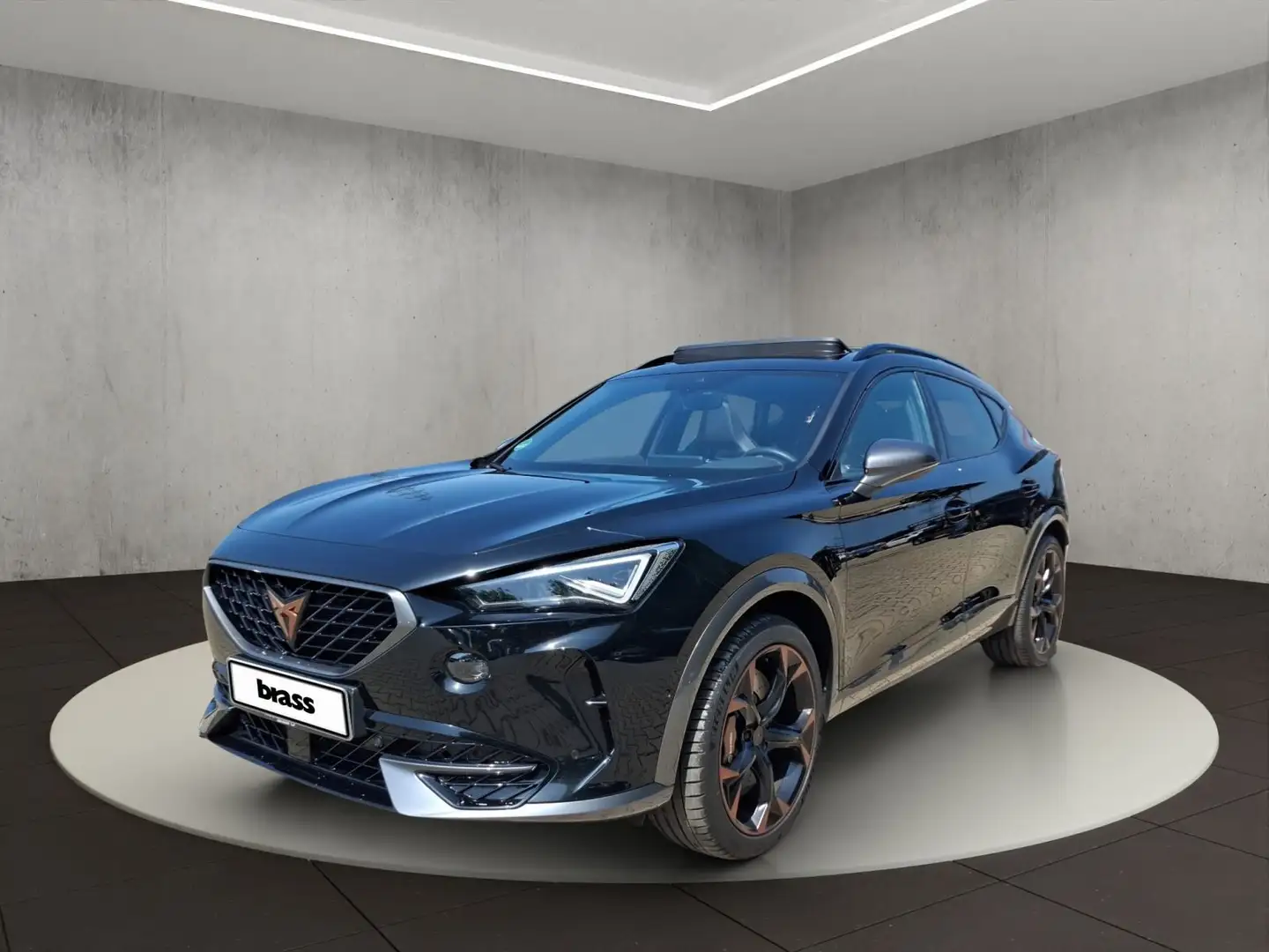CUPRA Formentor VZ 2.0 TSI 4Drive Rückfahrkamera Panor Schwarz - 1