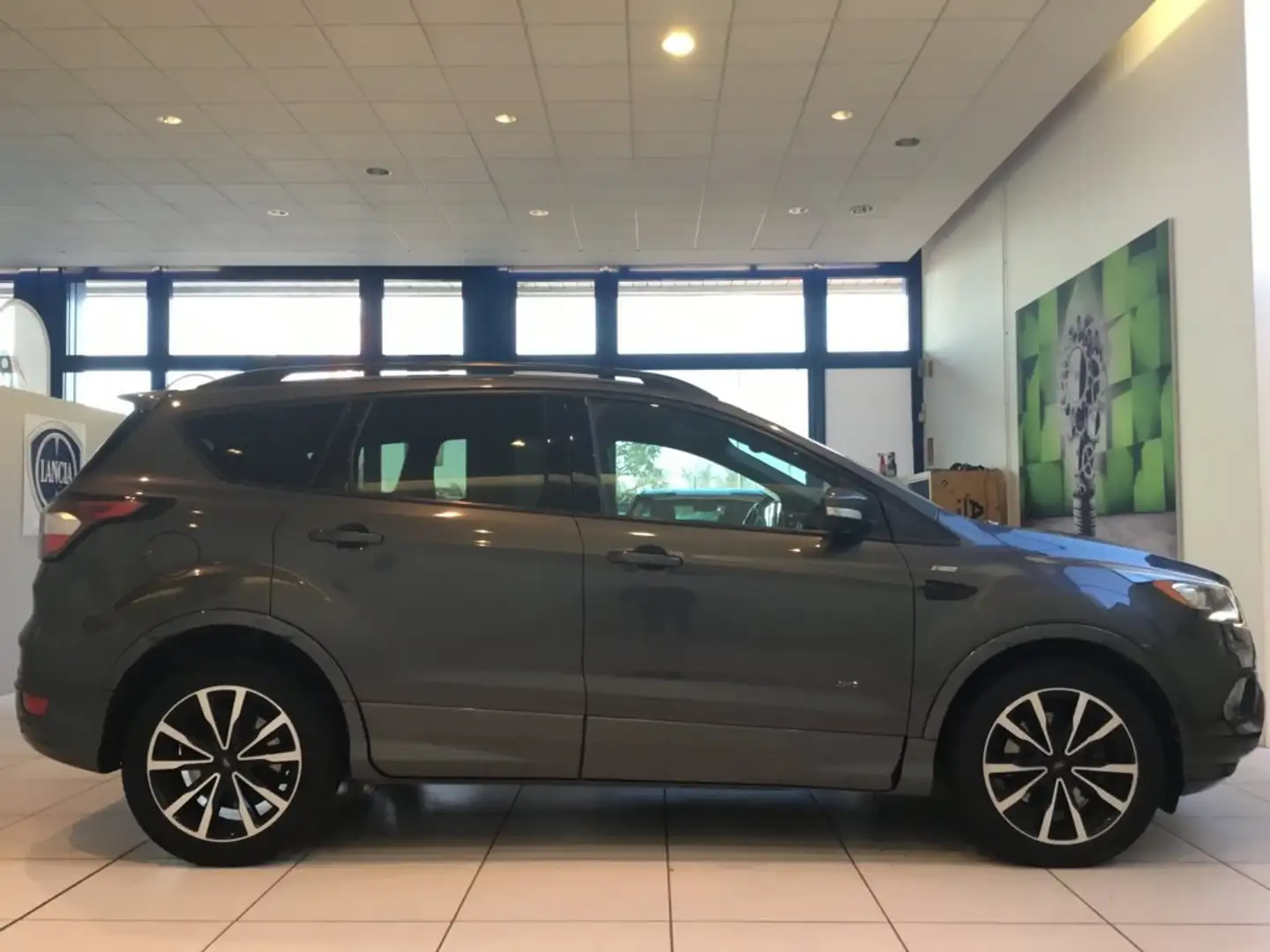 Ford Kuga Kuga 2.0 TDCI 150 CV S&S 4WD Powershift ST-Line - 2