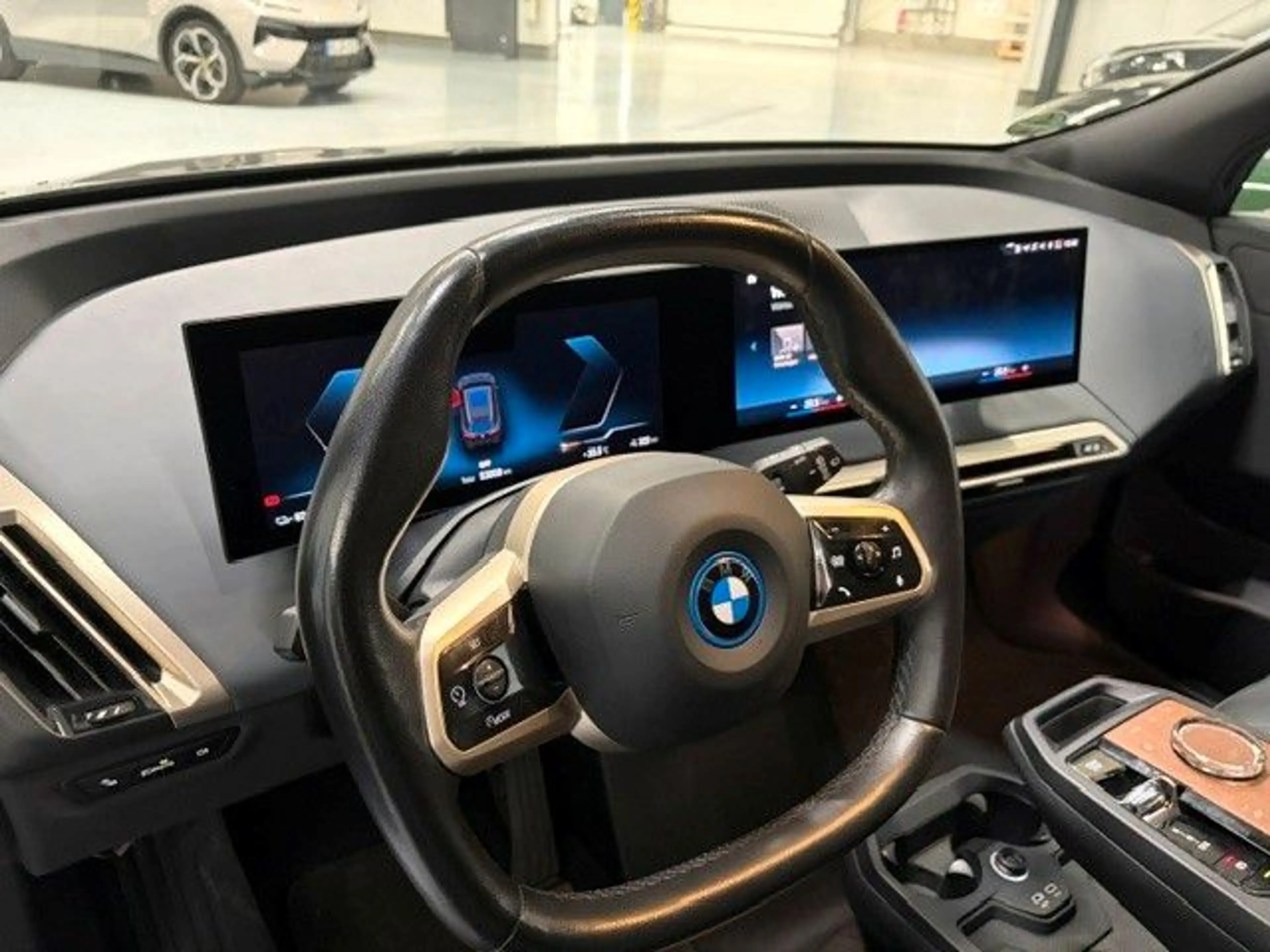 BMW iX 40 xDrive Pano Driving As Prof — photo 13