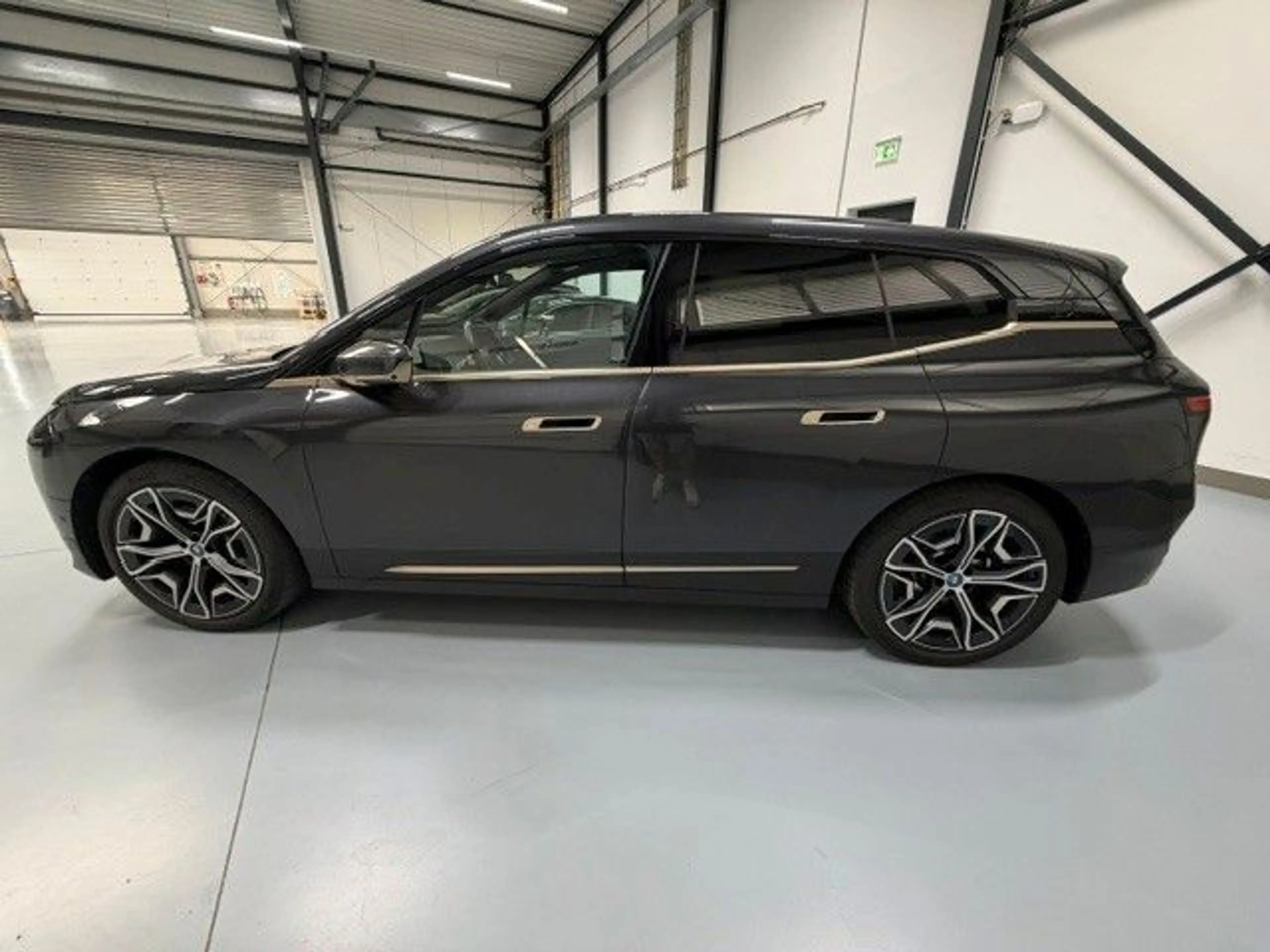 BMW iX 40 xDrive Pano Driving As Prof — photo 8
