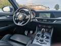 Alfa Romeo Stelvio Stelvio 2.2 210cv Veloce Q4 | ACC | 56.000 KM Blu/Azzurro - thumbnail 21