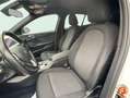 BMW 116 116dA Blanco - thumbnail 17