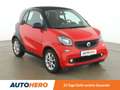 smart forTwo 1.0 Basis Standard Rot - thumbnail 8