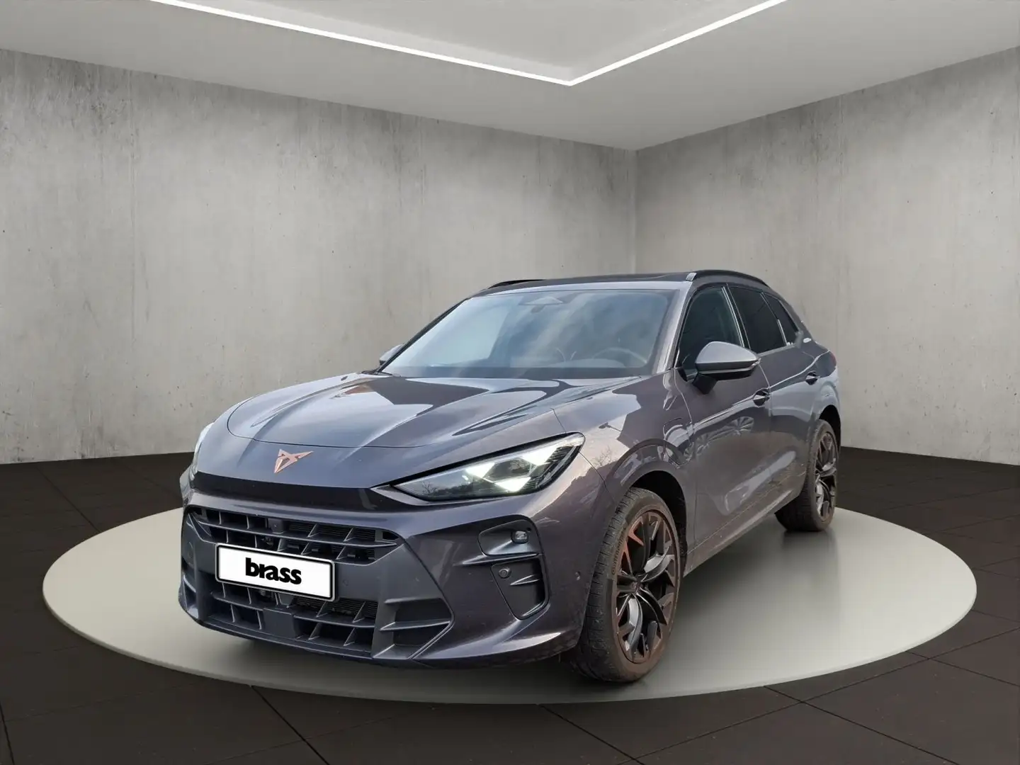 CUPRA Terramar VZ (inklusive verlängerter Herstellerga Violett - 1