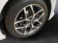 Kia Ceed / cee'd Ceed GT Line 1.6 CRDi Kamera Navi PDC GJR Weiß - thumbnail 15