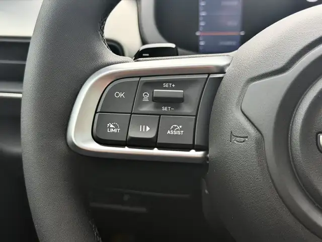 Jeep Avenger view 15