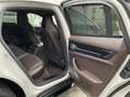 Porsche Panamera Turbo E-Hybrid |HUD|Burmester|Nightvisi Gris - thumbnail 19
