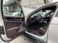Porsche Panamera Turbo E-Hybrid |HUD|Burmester|Nightvisi Gris - thumbnail 3