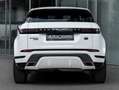 Land Rover Range Rover Evoque R-Dynamic 4WD- 20"-Tetto- Bianco - thumbnail 11