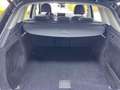 Audi Q5 2ª serie 40 TDI 204 CV quattro S tronic Nero - thumbnail 6