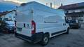 Fiat Ducato Fiat Ducato Grossr.-*TÜV*MOTOR SCHADEN* White - thumbnail 6