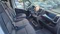 Fiat Ducato Fiat Ducato Grossr.-*TÜV*MOTOR SCHADEN* White - thumbnail 10