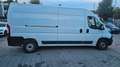 Fiat Ducato Fiat Ducato Grossr.-*TÜV*MOTOR SCHADEN* White - thumbnail 7