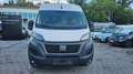 Fiat Ducato Fiat Ducato Grossr.-*TÜV*MOTOR SCHADEN* White - thumbnail 2