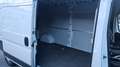 Fiat Ducato Fiat Ducato Grossr.-*TÜV*MOTOR SCHADEN* White - thumbnail 11
