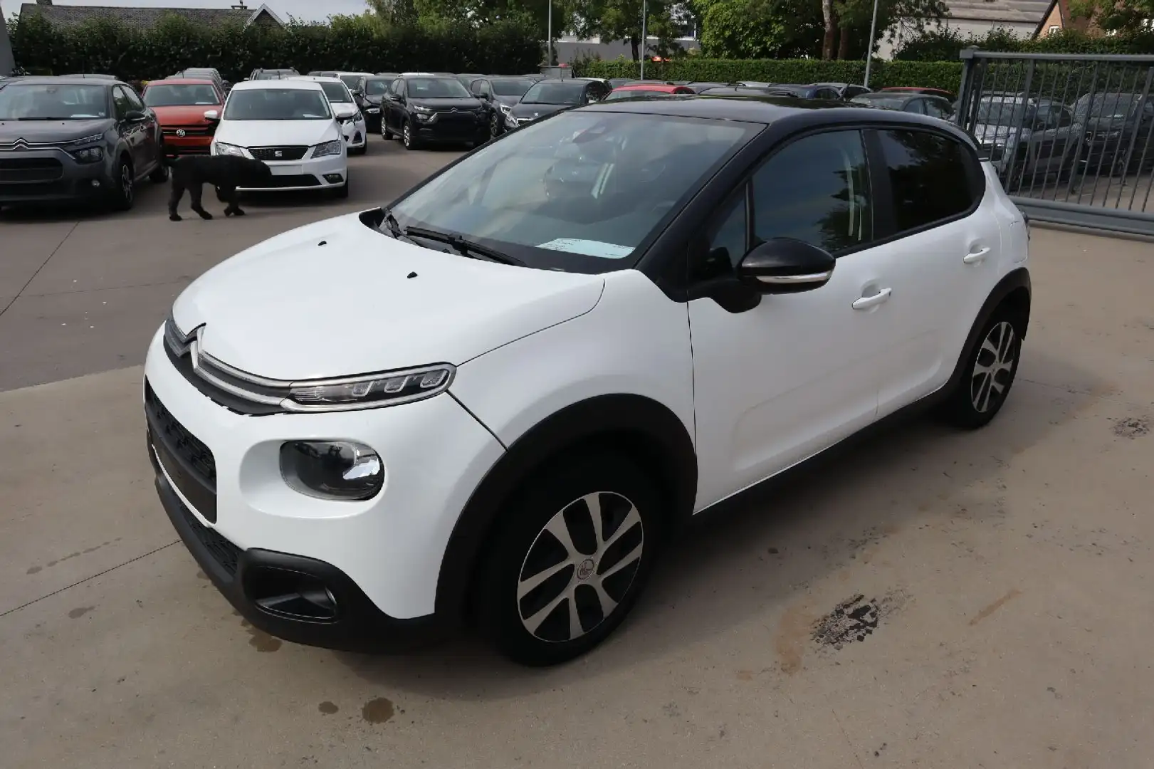 Citroen C3 1.2 Benz Wit - 1
