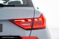 Audi A1 Sportback 30 TFSI Advanced - Full Led Grigio - thumbnail 13