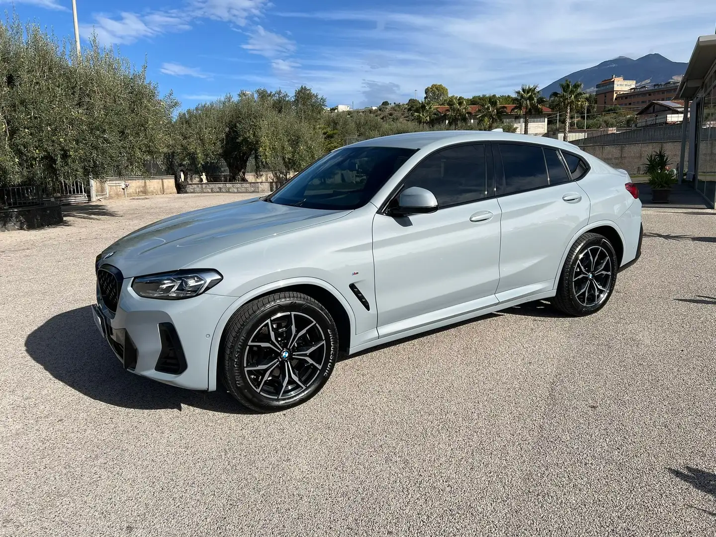 BMW X4 X4 G02 2021 xdrive20d mhev 48V Msport auto - 1