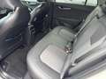 Kia e-Niro Niro EV Long Range 64kWh Gold Aut. Weiß - thumbnail 19