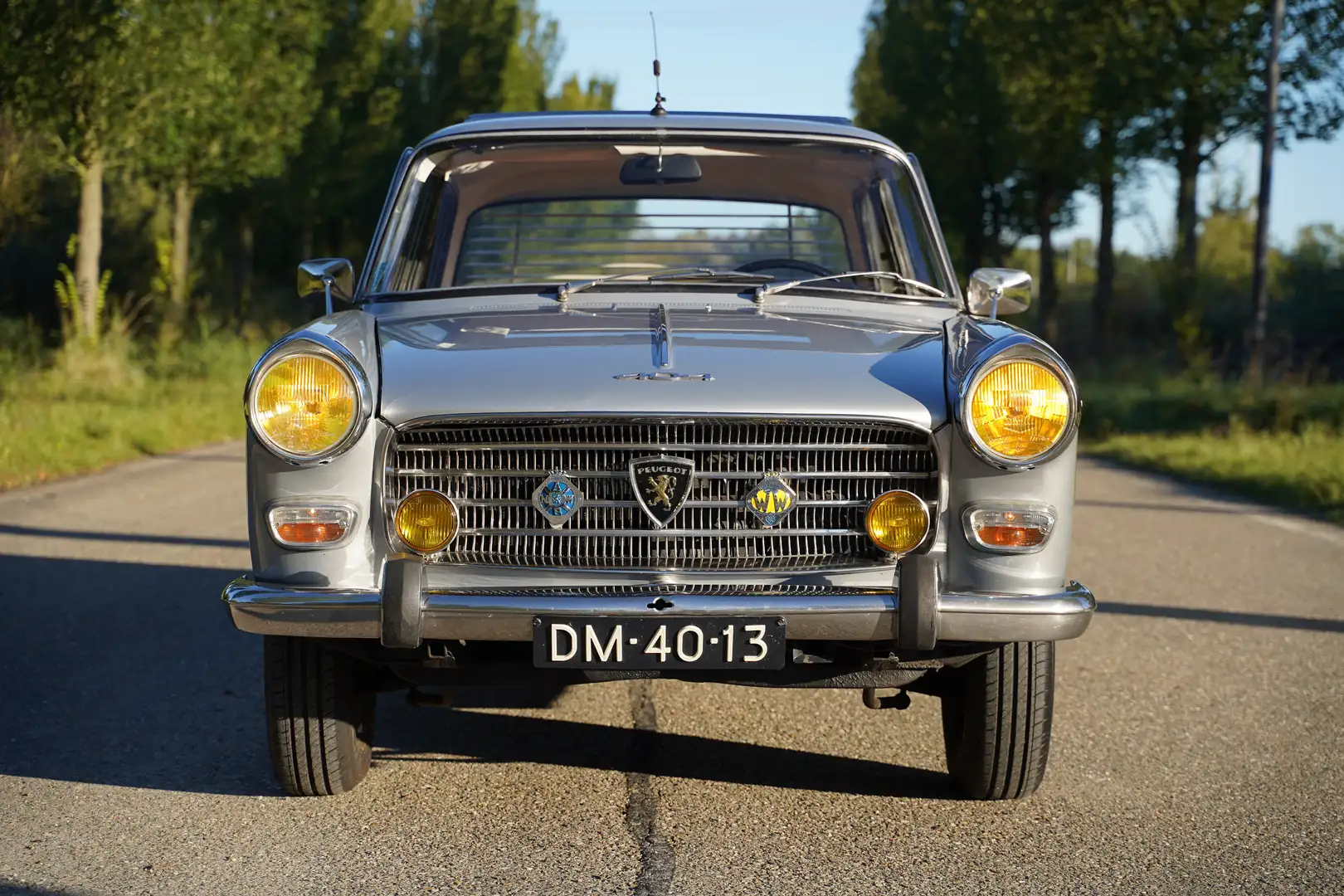 Peugeot 404 404 Injection Plateado - 2