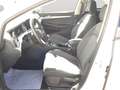 Volkswagen Golf VIII 1.5TSI Move LED Navi AHK SHZ ACC Weiß - thumbnail 12