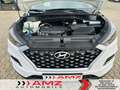 Hyundai TUCSON 1.6 Schaltgetriebe - Pure 2WD Bílá - thumbnail 12