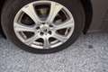 Renault Scenic Scénic Privilege pickerl neu top zustand Braun - thumbnail 10
