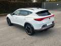 CUPRA Formentor 1.5 TSI DSG Weiß - thumbnail 6