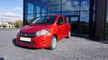 Suzuki Celerio AUTOMATIK+KLIMA+EINPARKHILFE Rot - thumbnail 4