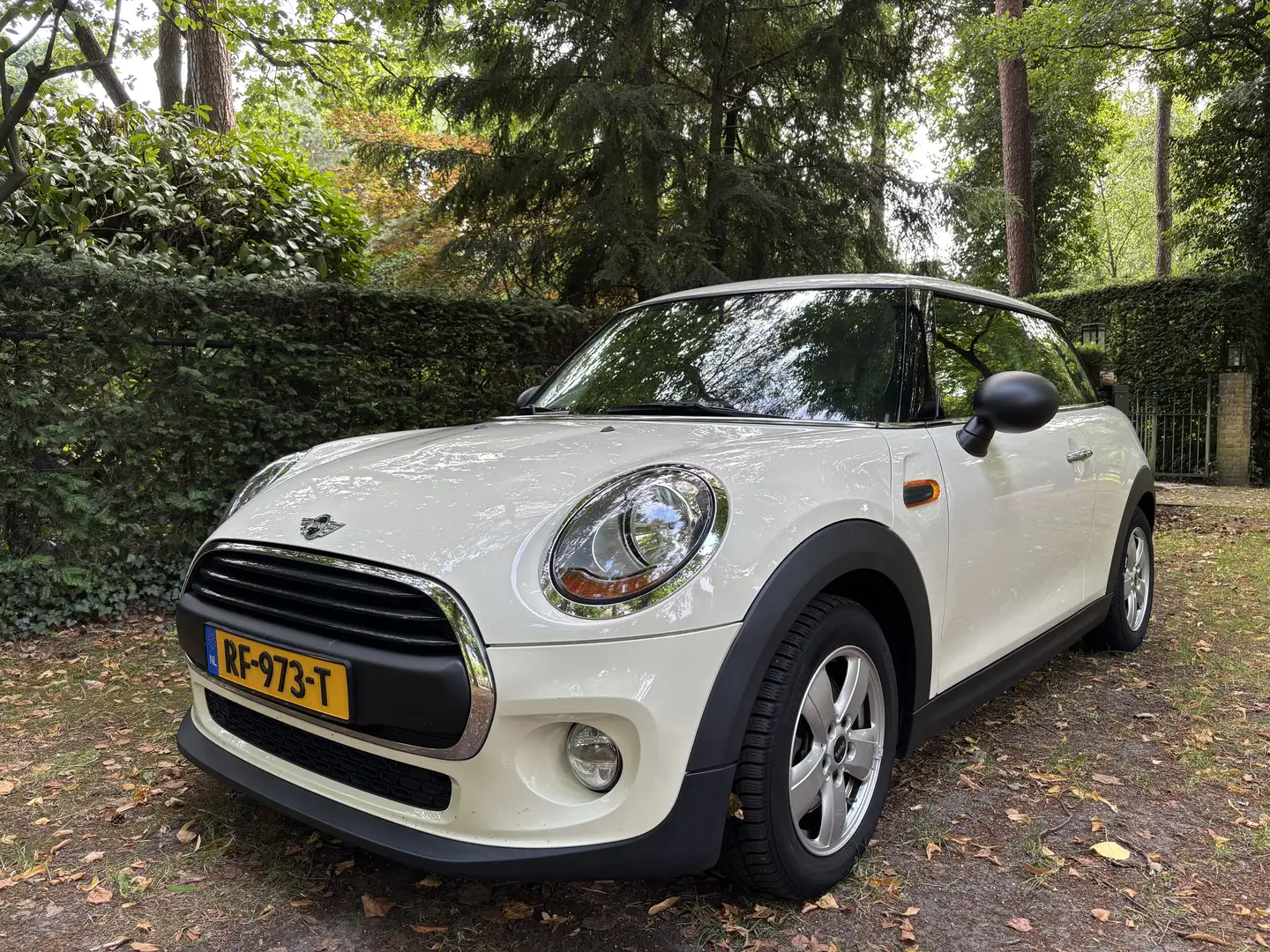 MINI One Navi Cruise control Multifunctioneel stuurwiel - 2