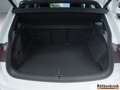 Volkswagen Tiguan R-Line eHybrid AHK HUD Business-Premium Weiß - thumbnail 4