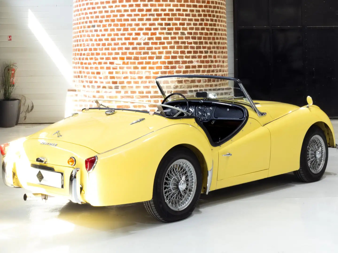 Triumph TR3 Gelb - 2