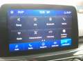 Ford Kuga Hybrid ST-Line X.LED.Alcantara.AHK schw. Grau - thumbnail 14